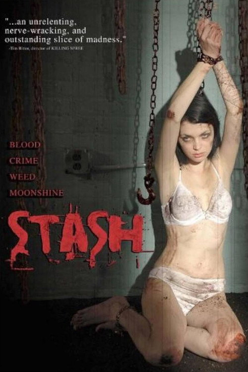 Pôster de Stash