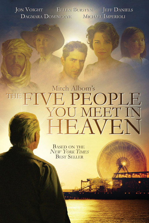Póster de The Five People You Meet In Heaven
