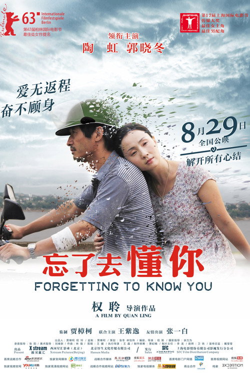 Póster de Forgetting to Know You