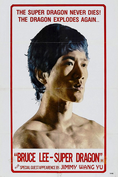 Póster de SuperDragon: The Bruce Lee Story