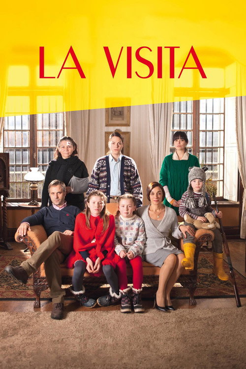 Póster de La visita