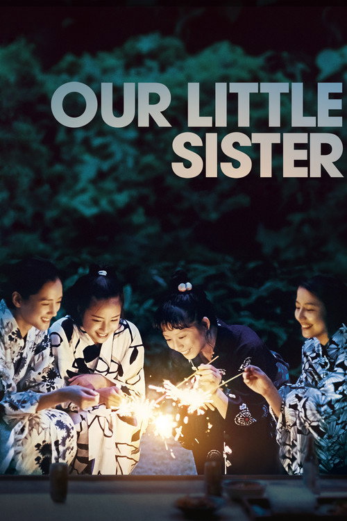Póster de Our Little Sister