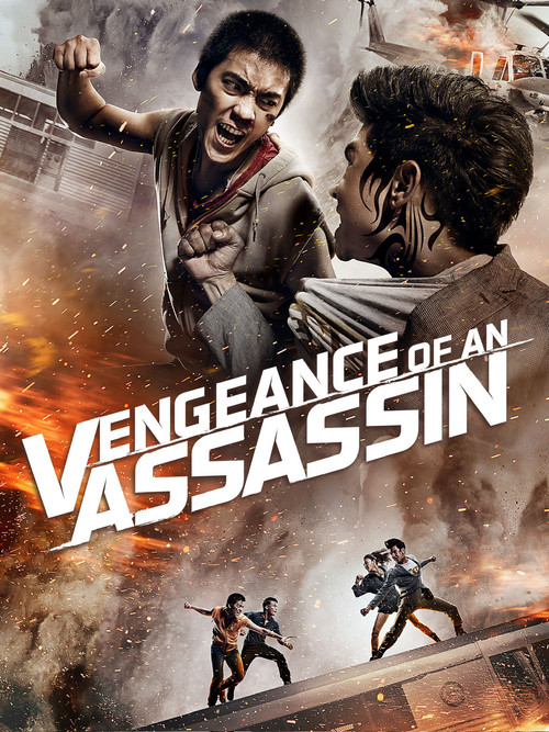 Póster de Vengeance of an Assassin