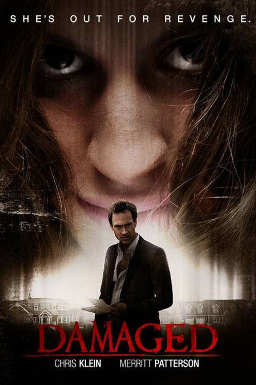 Póster de Damaged