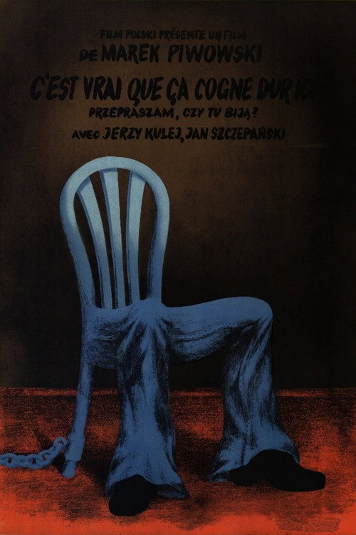 Póster de Excuse Me, Is It Here They Beat Up People?