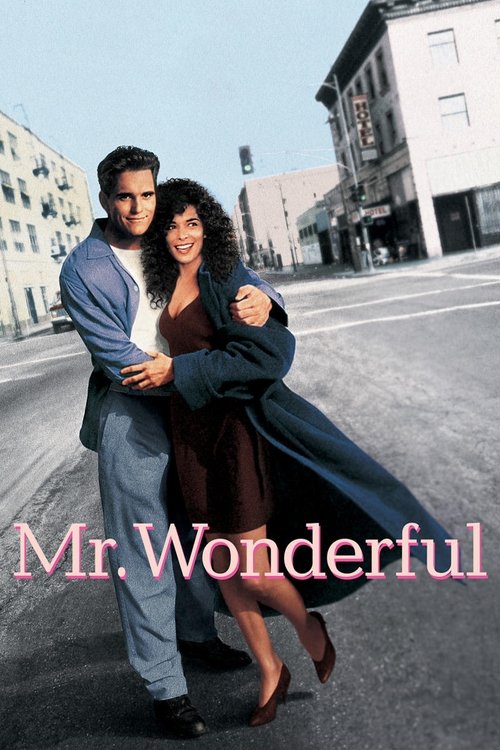 Póster de Mr. Wonderful