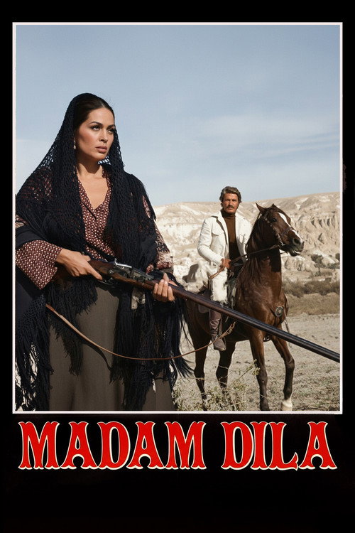 Póster de Madam Dilâ