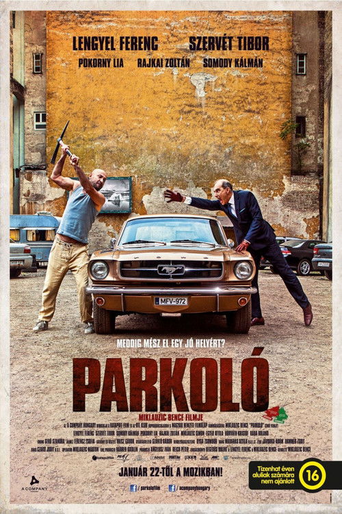 Póster de Car Park