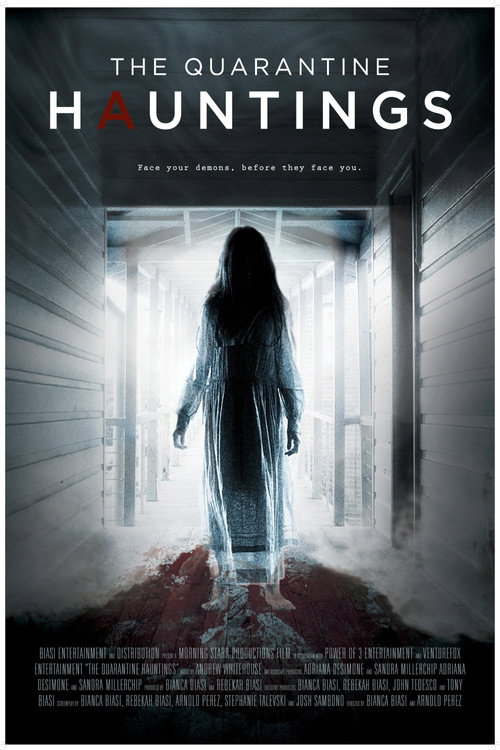 Póster de The Quarantine Hauntings