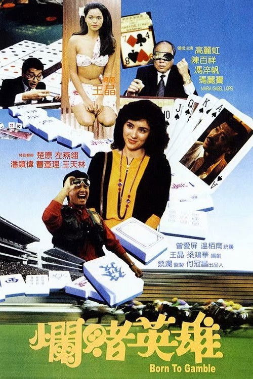 Póster de Born to Gamble
