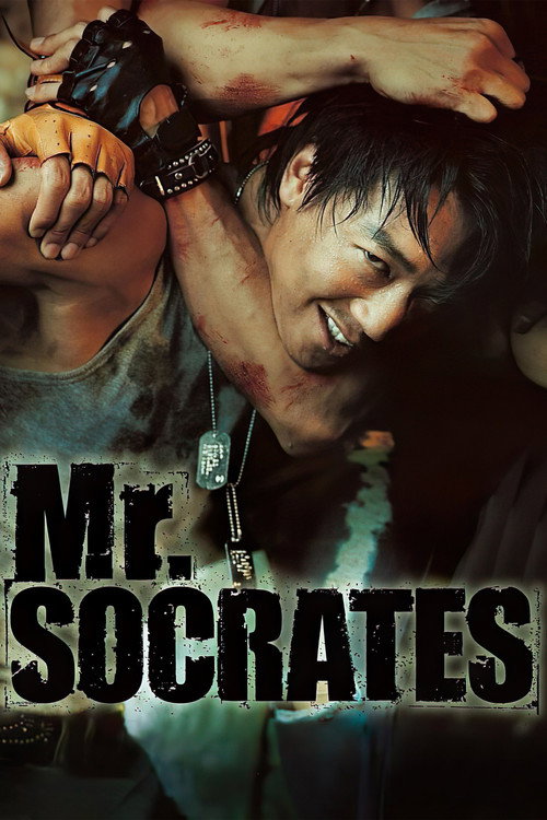 Póster de Mr. Socrates