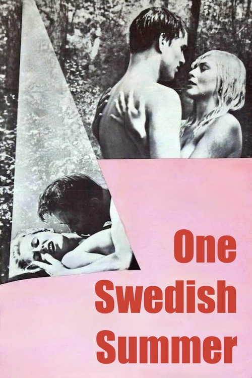 Póster de One Swedish Summer