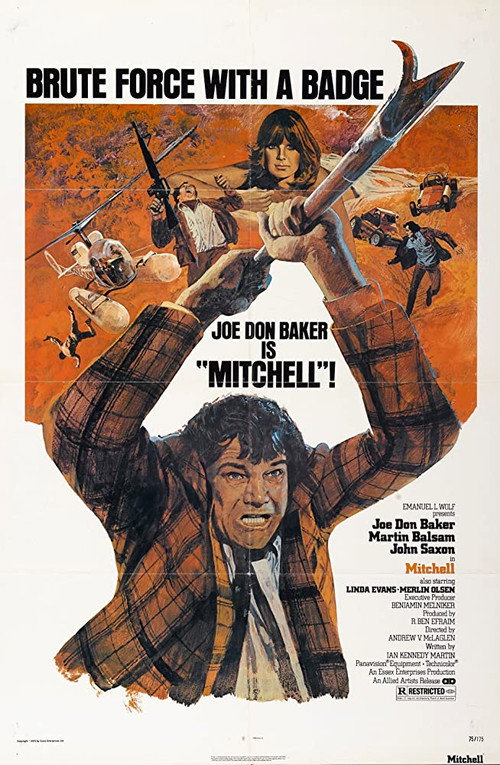 Pôster de Mitchell