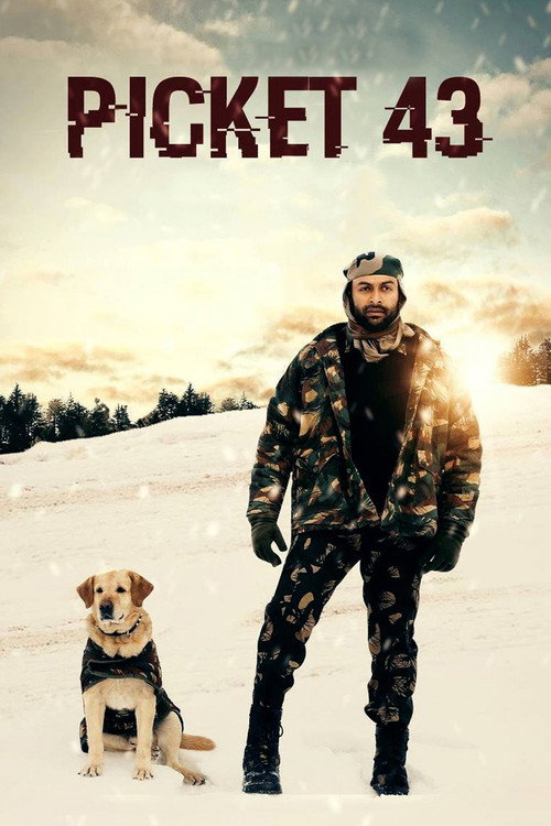 Póster de Picket 43