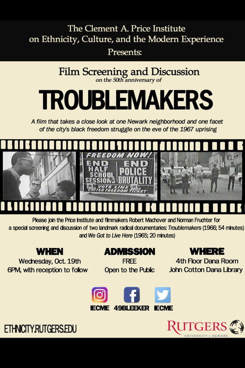 Póster de Troublemakers