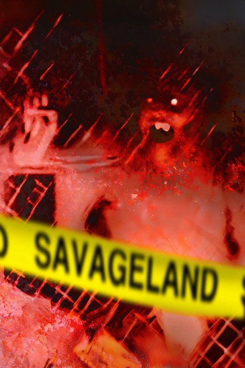 Póster de Savageland