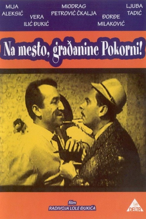 Póster de Citizen Pokorni