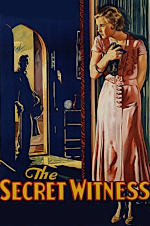 Póster de The Secret Witness