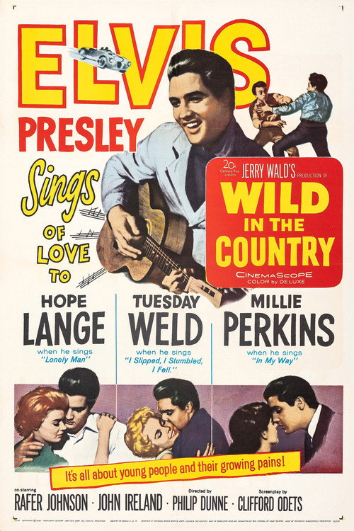 Póster de Wild in the Country