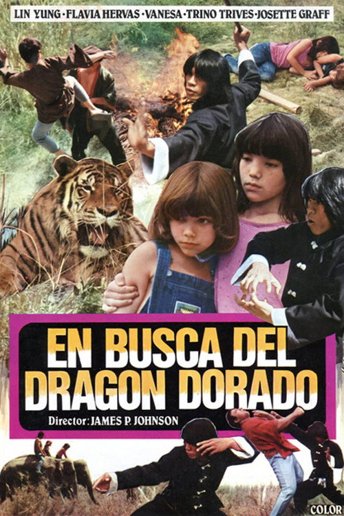 Póster de En busca del dragón dorado