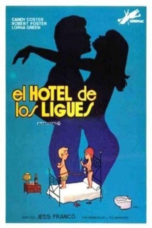 Locandina di The Hotel of Love Affairs