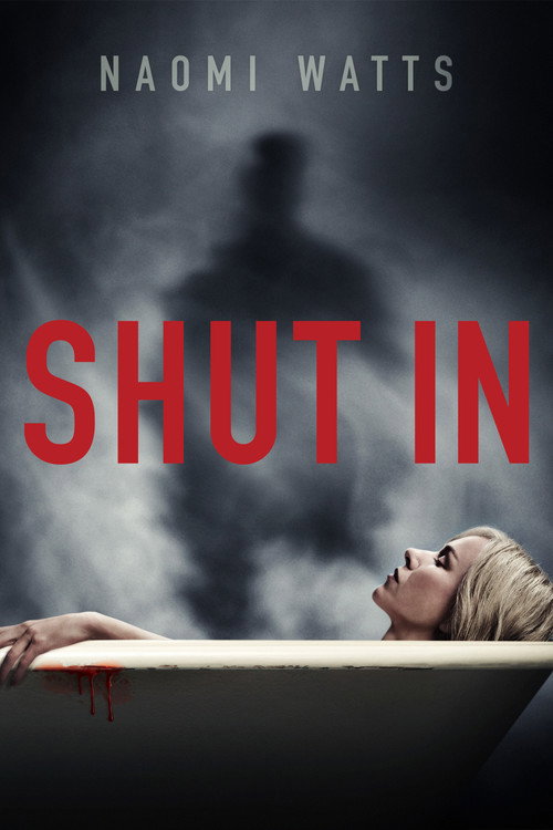 Póster de Shut In