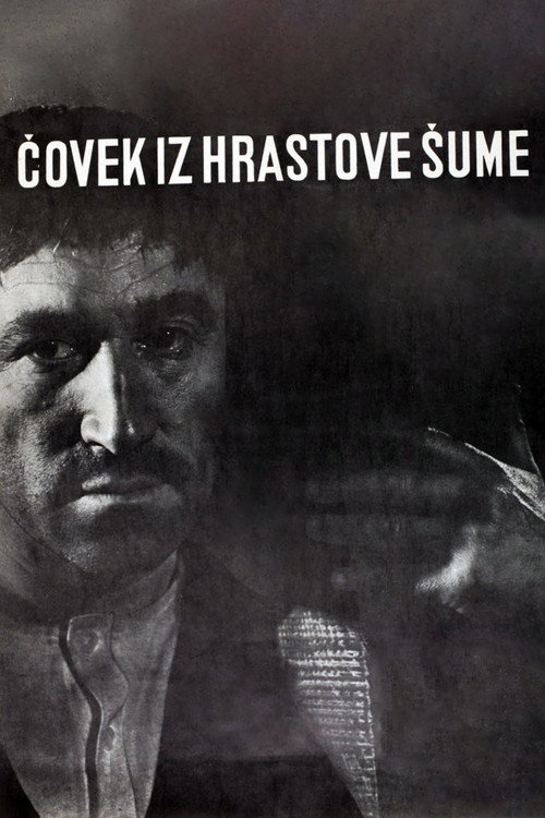 Póster de The Man from the Oak Forest