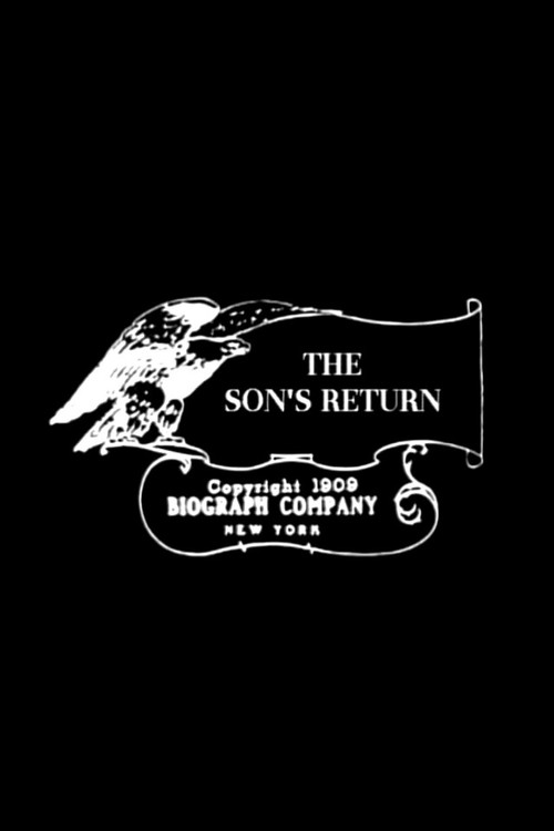 Póster de The Son's Return