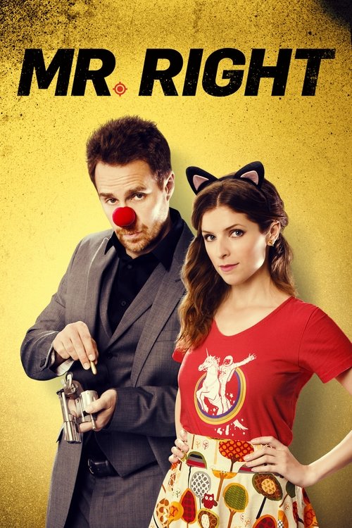 Póster de Mr. Right
