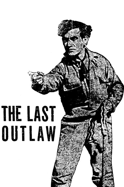 Póster de The Last Outlaw