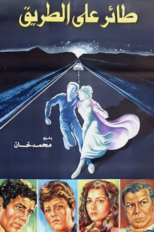 Póster de A Bird on the Road