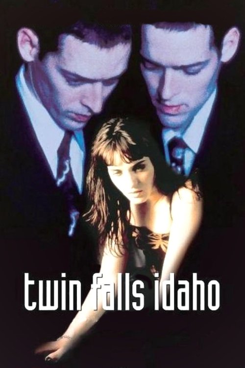 Póster de Twin Falls Idaho