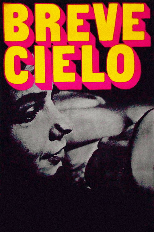 Póster de Breve cielo