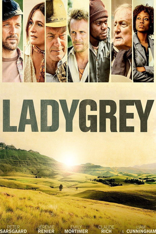 Pôster de Ladygrey