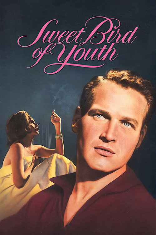 Póster de Sweet Bird of Youth