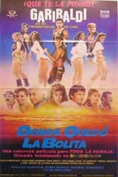 Póster de ¿Dónde quedó la bolita?
