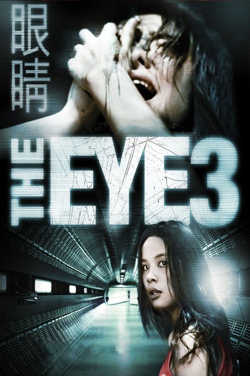 Póster de The Eye 3: Infinity