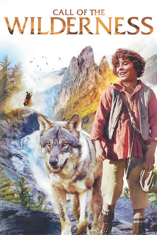 Póster de Little Mountain Boy