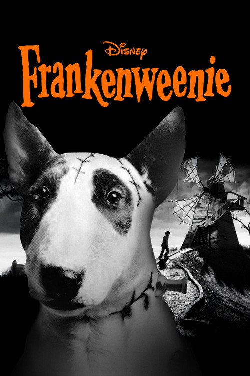 Póster de Frankenweenie