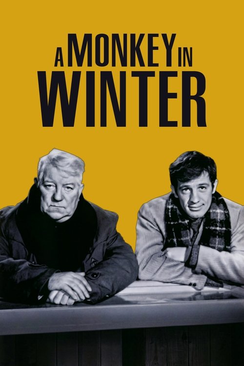 Póster de A Monkey in Winter