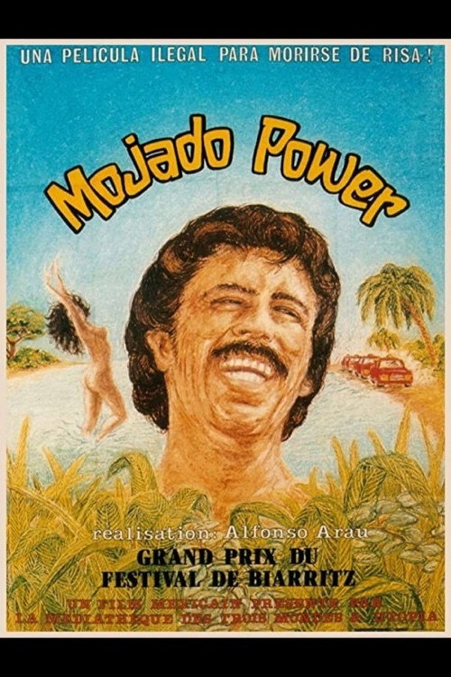 Póster de Mojado Power