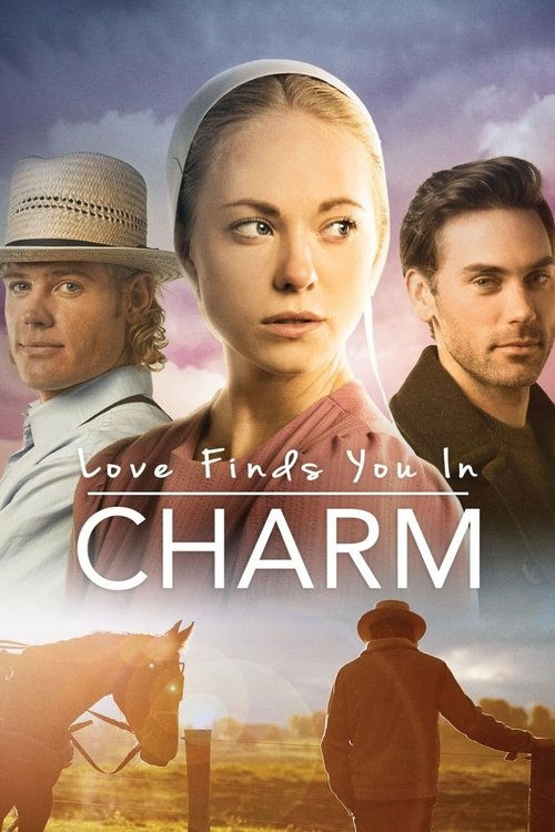 Póster de Love Finds You in Charm