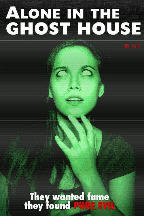 Póster de Alone in the Ghost House