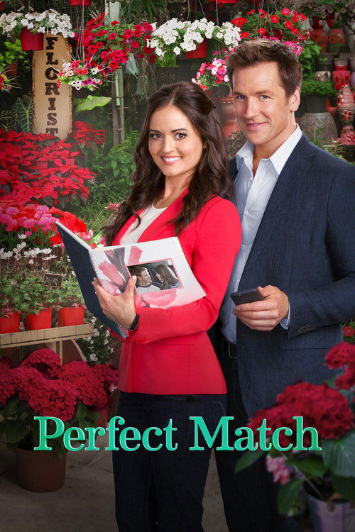 Póster de Perfect Match