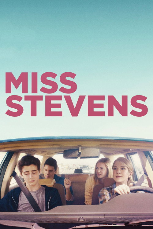 Póster de Miss Stevens