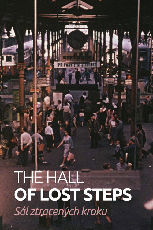 Póster de The Hall of Lost Steps