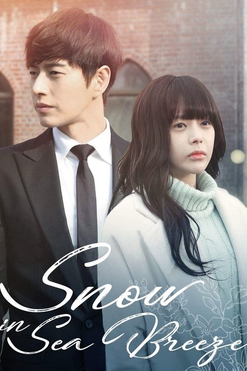 Póster de Snow In Sea Breeze