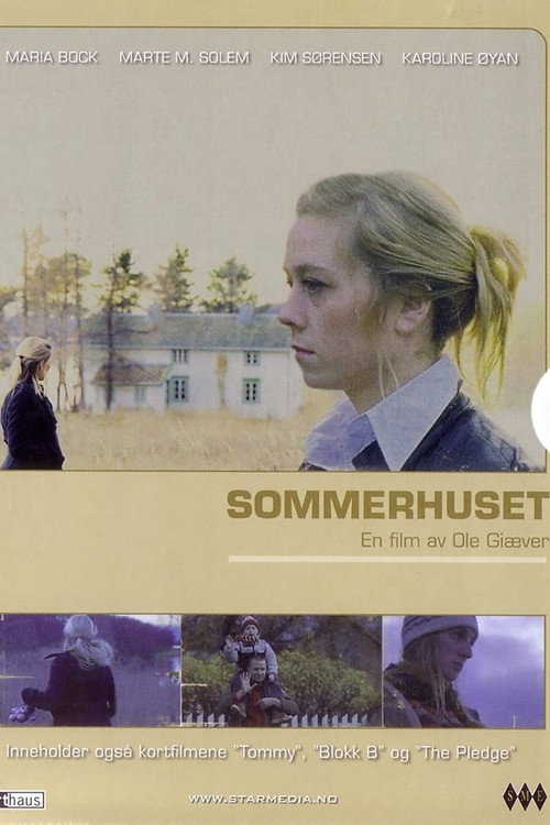 Póster de Summers Past