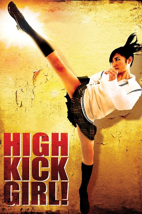 Póster de High Kick Girl!