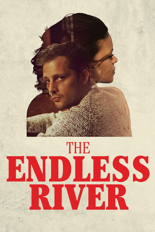 Póster de The Endless River